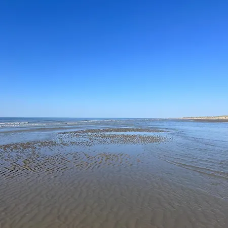 Noorderduin Beachhouse - Am Meer, Strandnah, Hund Willkommen Bredene