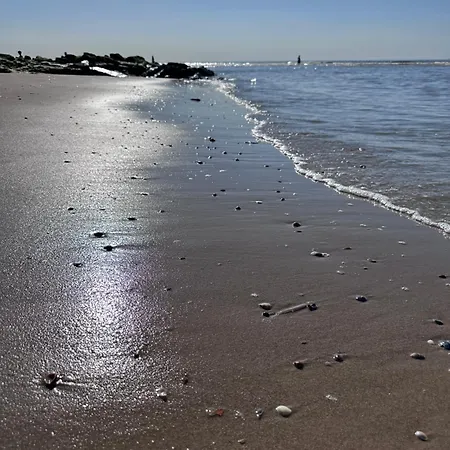 Noorderduin Beachhouse - Am Meer, Strandnah, Hund Willkommen Apartament Bredene