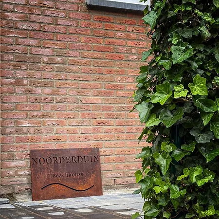 Noorderduin Beachhouse - Am Meer, Strandnah, Hund Willkommen